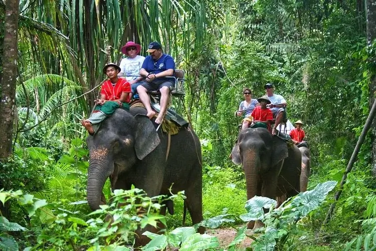 elephant ride