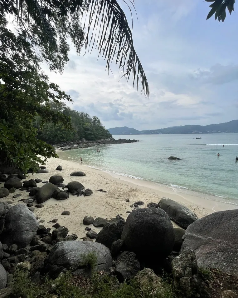 beach and palms